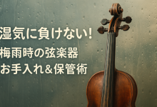 【梅雨の時期、弦楽器はどうする？  湿気と保管の正しい対策ガイド】
