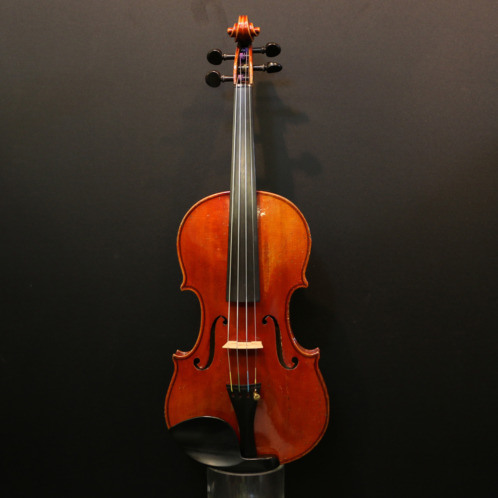 Saxony Old Violin